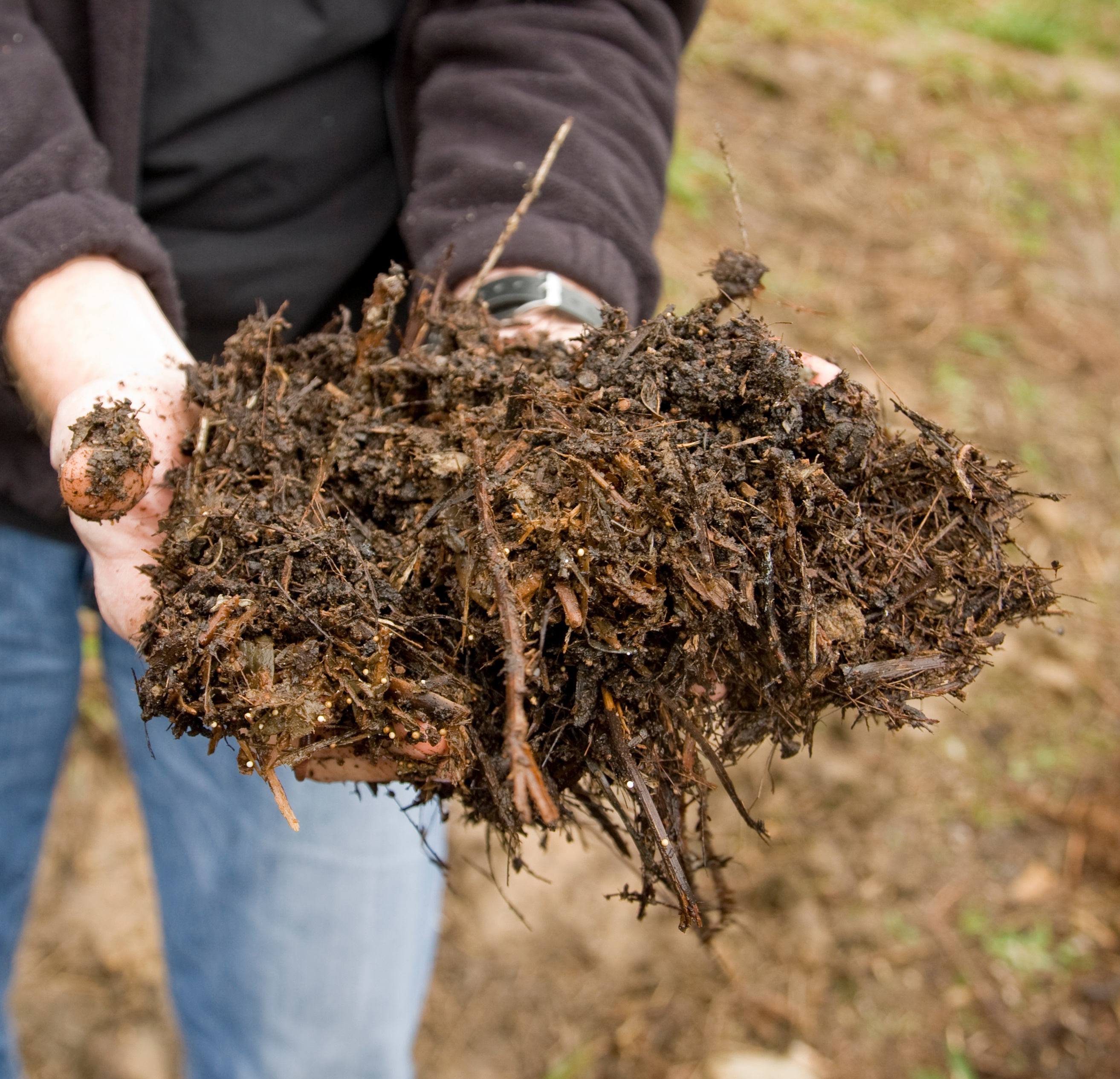 compost