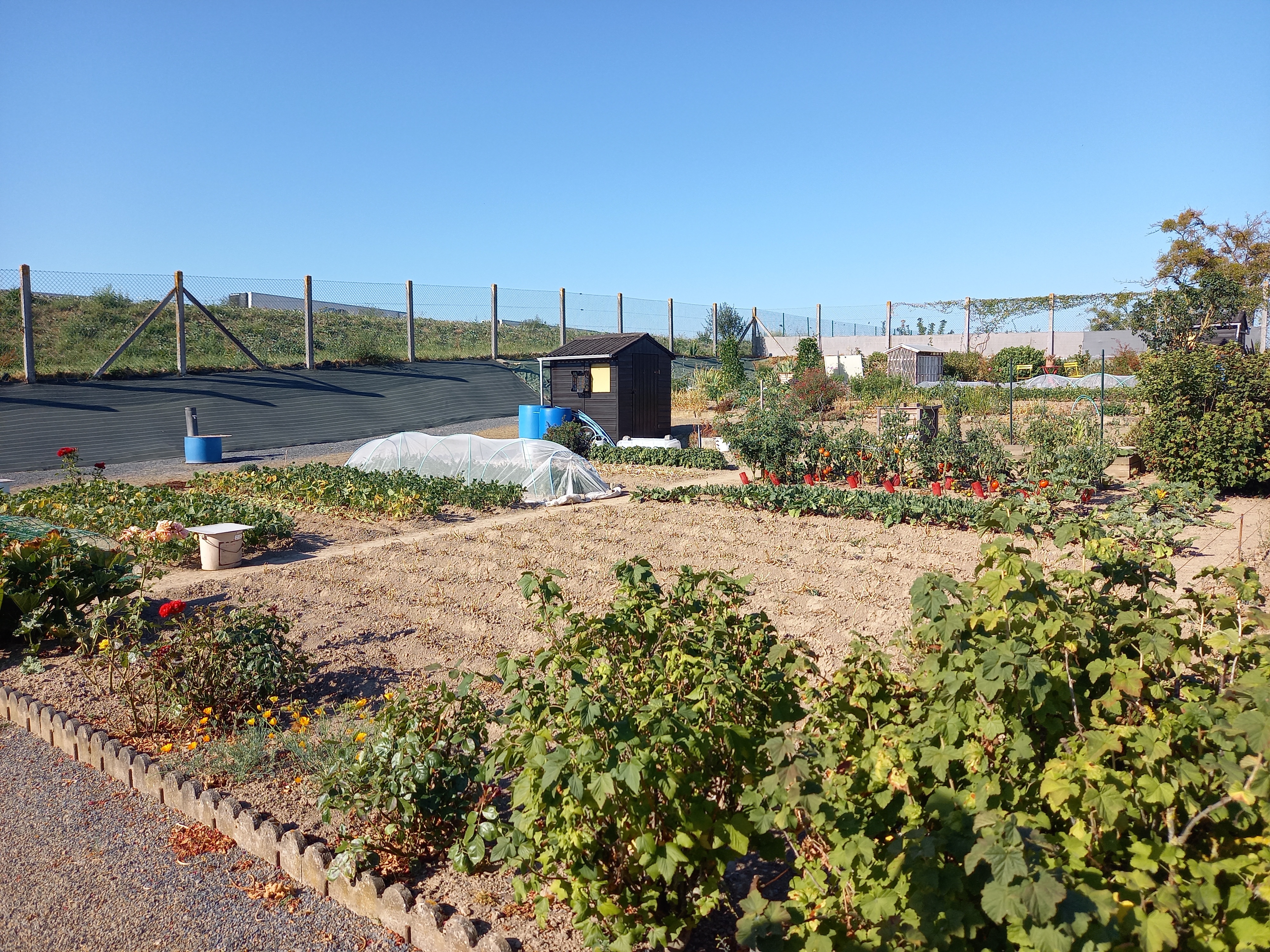 Jardin