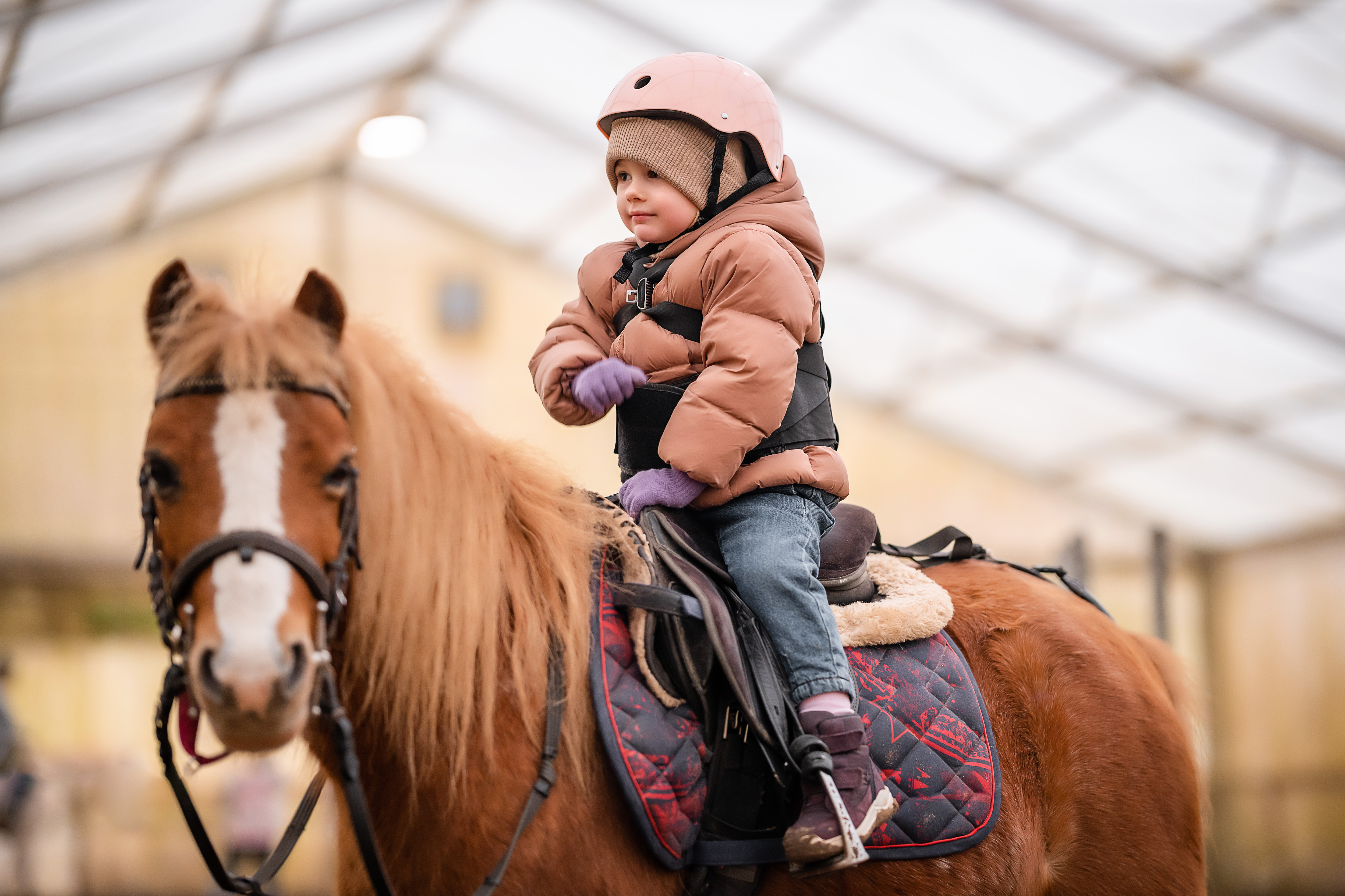 little-child-riding-lesson-three-year-old-girl-ri-2023-11-27-05-23-23-utc