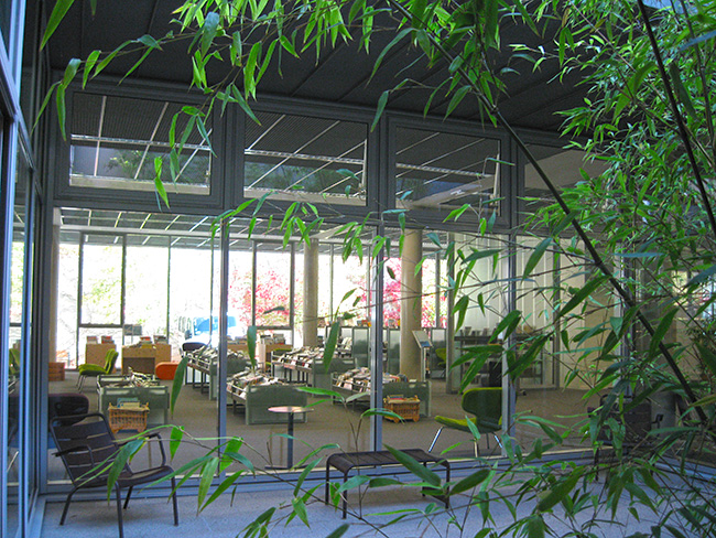 mediatheque-06