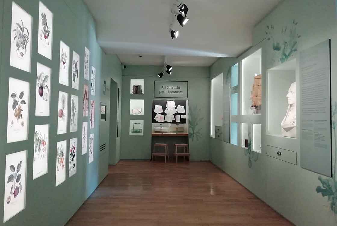 Salle des botanistes