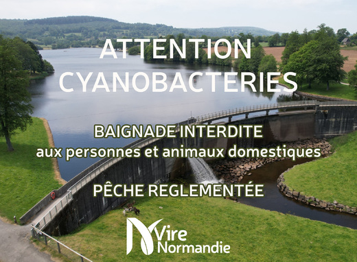 cyano