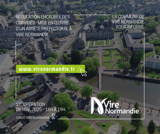 Régulation encadrée des corvidés Nov 2025