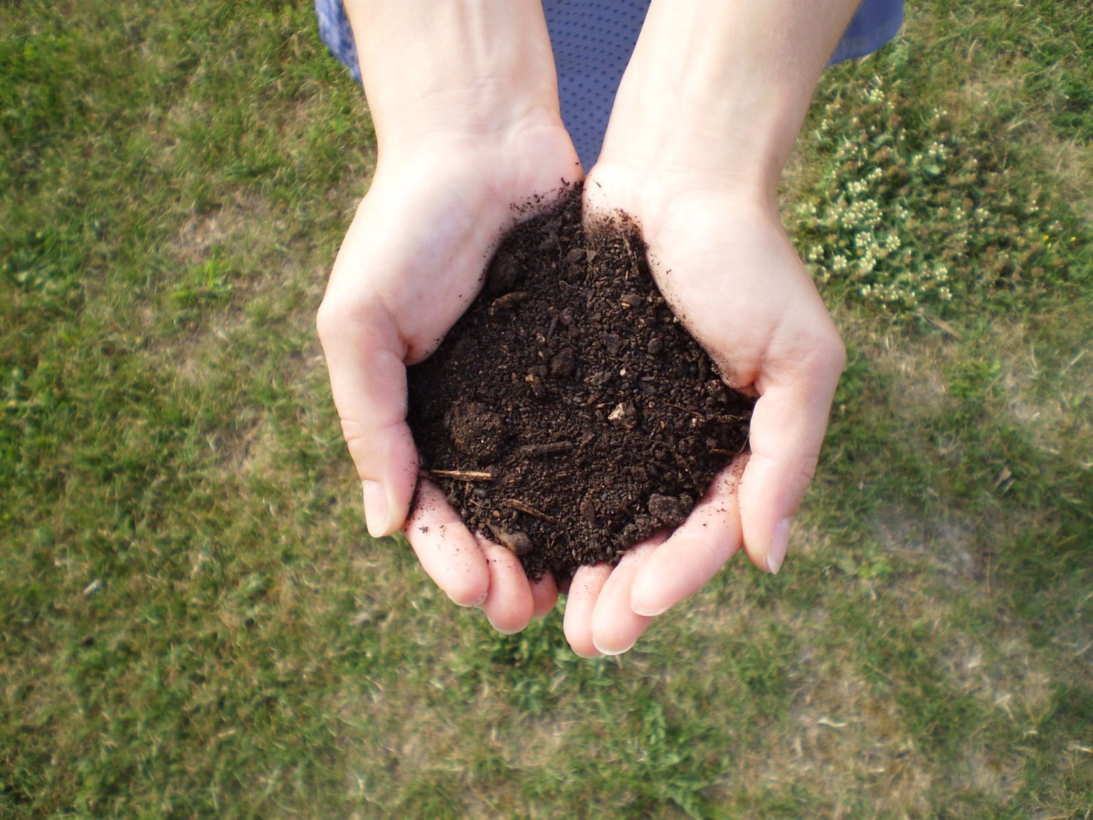 Tous au compost